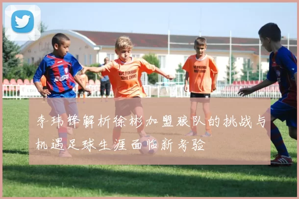 李玮锋解析徐彬加盟狼队的挑战与机遇足球生涯面临新考验